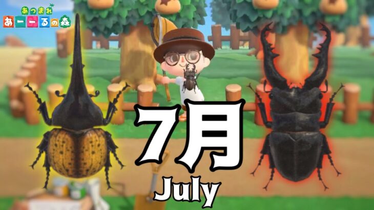 【あつ森】7月の虫と魚すべて捕まえてみた。 Bugs to Get and Fish to Get in July.【Animal Crossing: New Horizons】[Eng Sub]