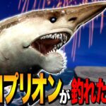 【あつ森】サメの歯の化石「ヘリコプリオン」が釣れたらどうなる？ ～Helicoprion’s tooth whorls～【あつまれ どうぶつの森】