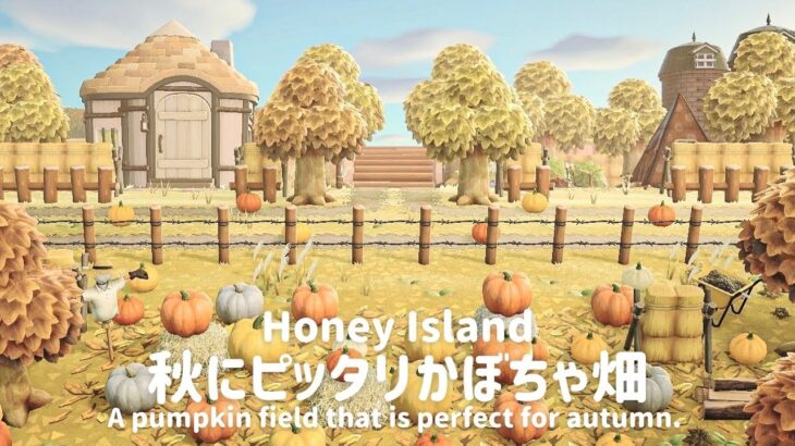 【あつ森】秋にピッタリかぼちゃ畑【島クリエイト】