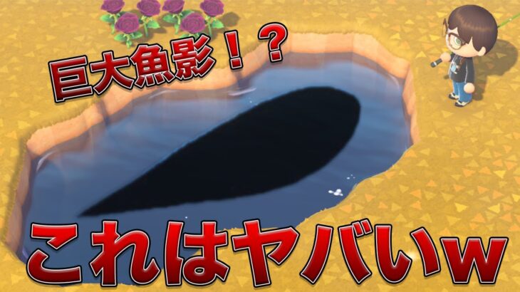 【バグ】超巨大な魚影を出現させる方法【あつ森検証】
