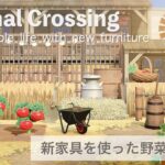 【あつ森】新家具を使って作る風車の回る田舎町の野菜畑 // Animal Crossing New Horizons