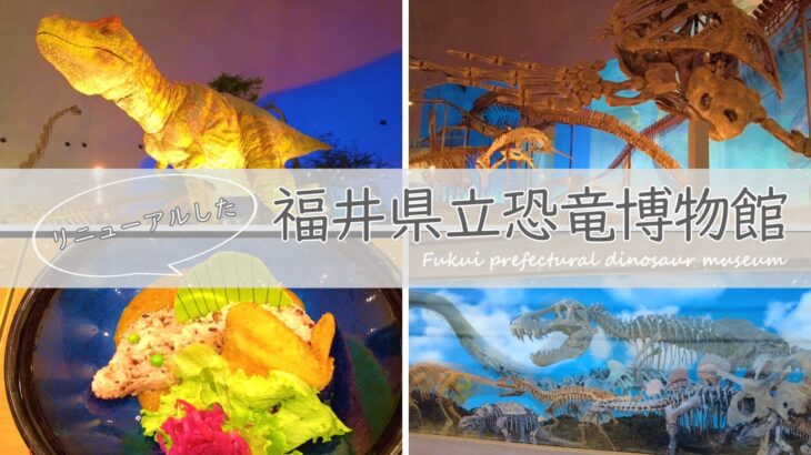 #67  【リニューアルしたところ紹介します】福井県立恐竜博物館