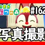 写真撮影【あつ森】#162　Animal Crossing