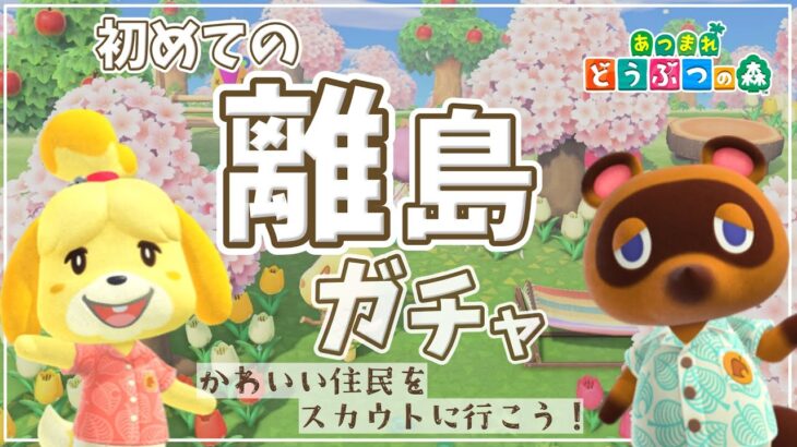 【Live】初めての離島ガチャ🙌かわいい子をスカウトしたい！🤭＜2024年3月あつ森始めました＞【あつまれどうぶつの森 / Animal Crossing: New Horizons】